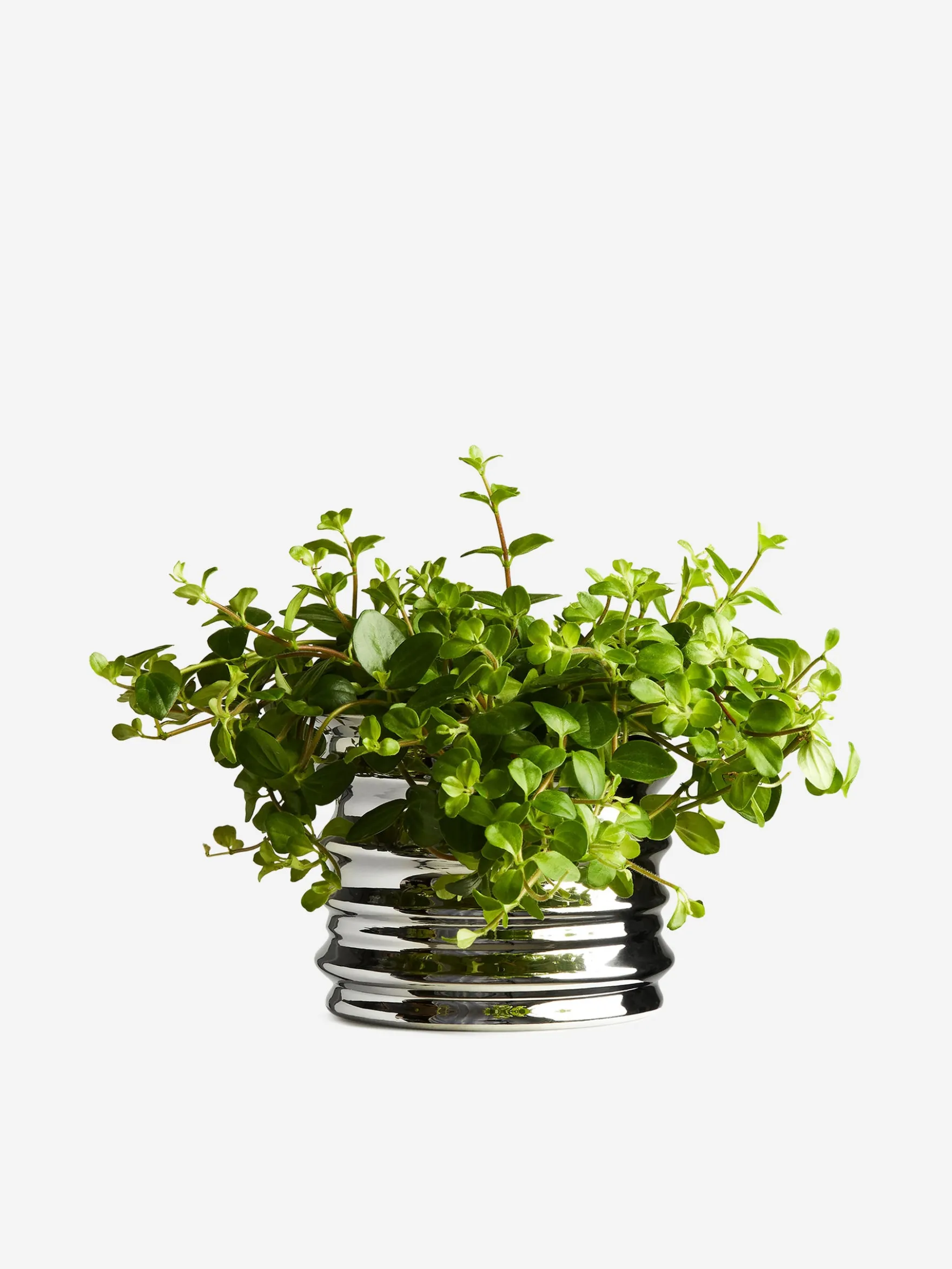 Blumentopf aus Metall, 11 cm