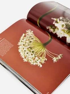 Kinfolk Issue 57